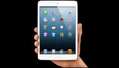 Go to article How to Get Started as an App Developer
