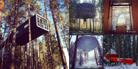 Go to article Instagram Claims Its Audience Grew, Despite Privacy Snafu