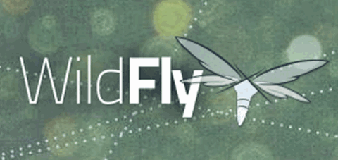 Go to article Drilling Into JBoss AS's Successor - WildFly 8