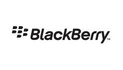 BlackBerry Guts Sales Staff