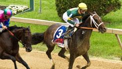 Go to article Churchill Downs May Add 50 IT Jobs for Online Gambling