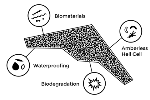 Go to article Future Tech: A Drone Built From Fungus