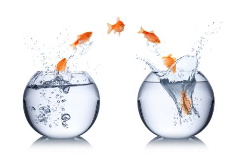 Go to article How Software Developers Can Switch Industries