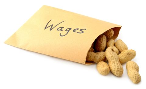 Go to article Bucking Trend, STEM Fields See Rising Wages