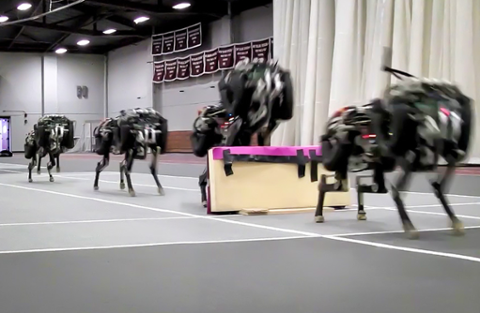 MIT's Robots Take a Jump Into the Future