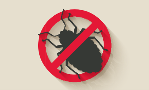 Go to article Lessons From My Toughest Software Bugs