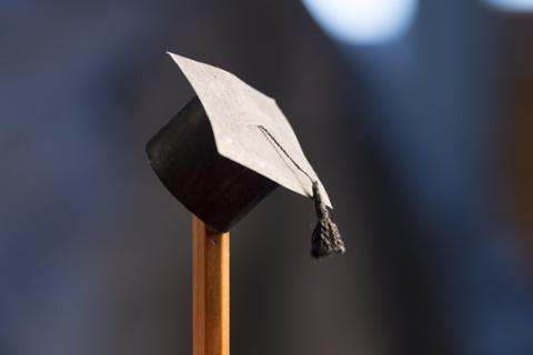 Go to article How to Build On Your Accelerated Education