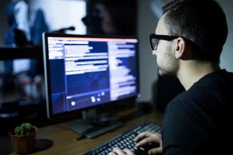 Go to article The Most Popular Languages in Your City: Coding Dojo
