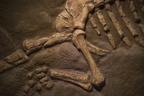 Go to article Tech Jobs in Danger of Becoming Extinct
