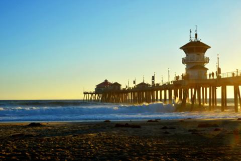 Go to article 5 Top States with Employers Hungry for Tech Talent