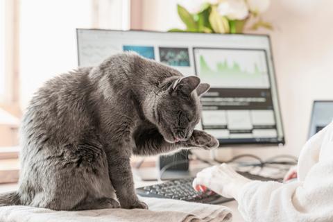 Go to article Remote Tech Skills That Employers Really Want, November