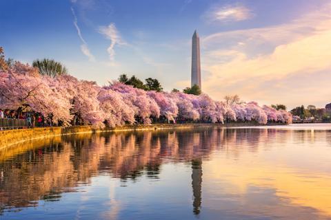 Go to article Will Washington DC Become the Next Big Tech Hub?