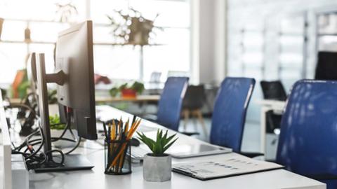 Go to article Entry-Level Tech Jobs AI Can't Touch