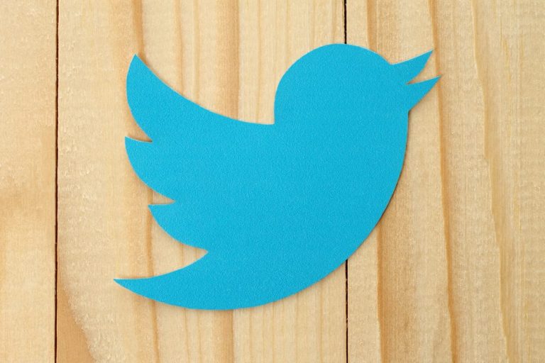 blue bird icon wooden background