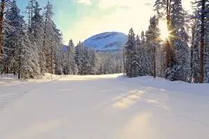 Dice Report: Fastest-Growing States for Tech Jobs