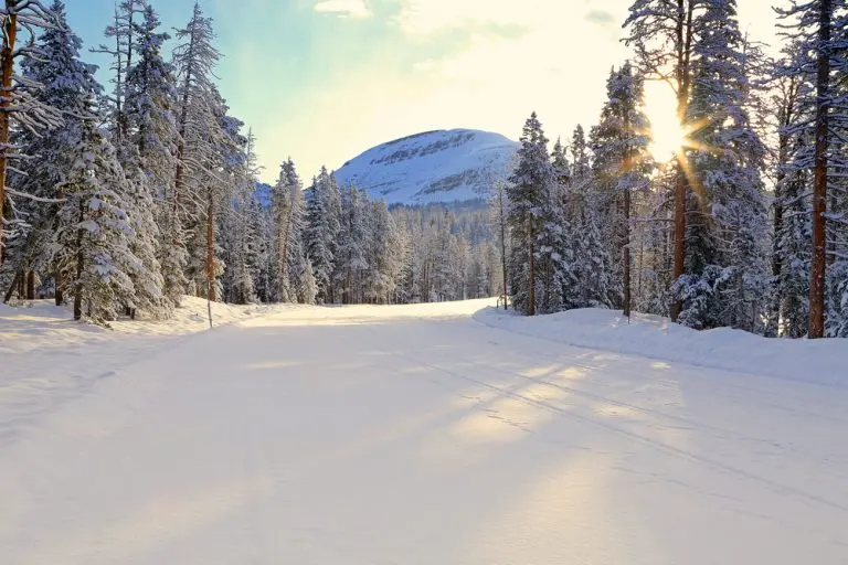 snowy forest mountain sunrise scene