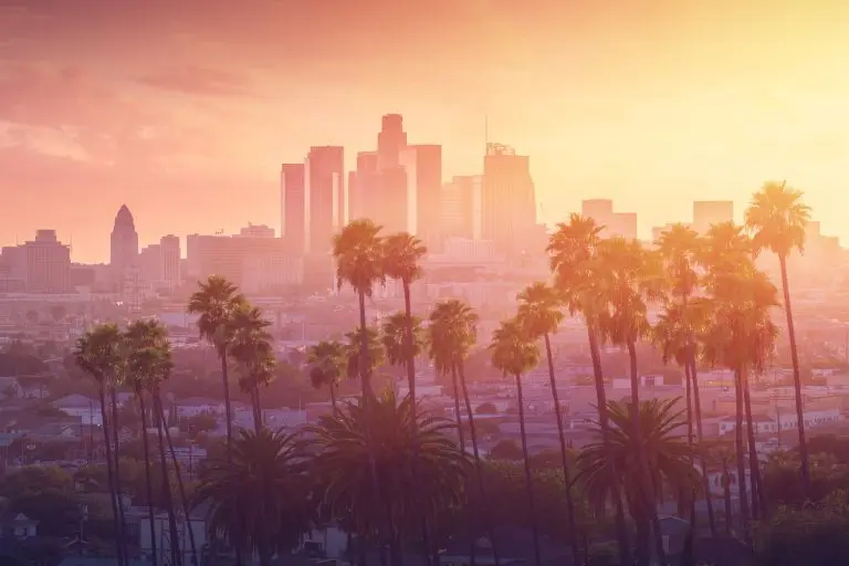 sunset city skyline palm trees