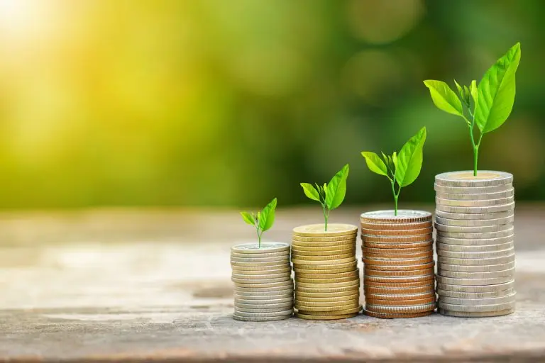 plants growing from stacked coins