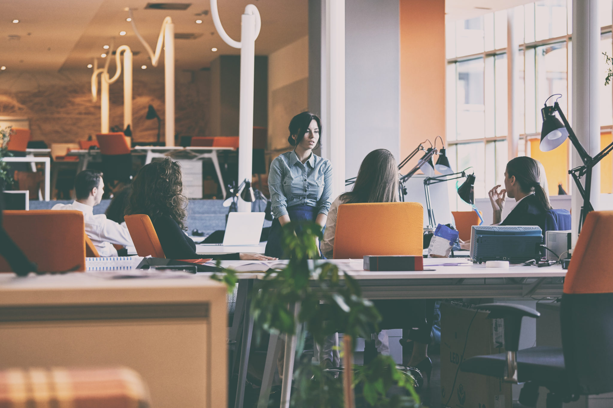 Understanding Company Culture: Definition, Importance and Benefits