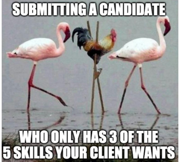 Recruiting Meme: submitting a candidate missing required skills - humorous recruiter image with Rooster in between two Flamingos